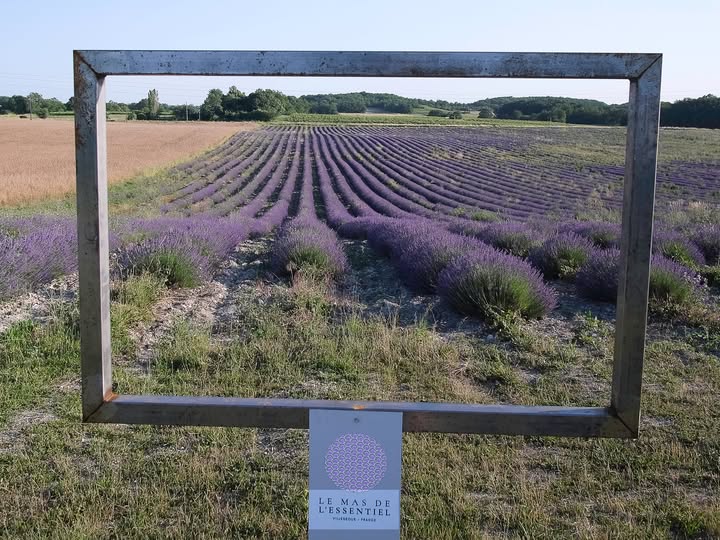 Les oiseaux des milieux agricoles